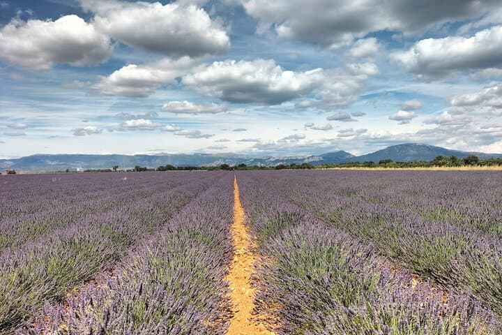 Gorges du Verdon : Lavenders, Canyon Boat Picnic & Villages