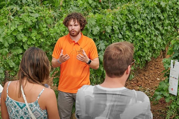 Saint-Emilion Grand Cru Classé: Gourmet Tour in Spanish