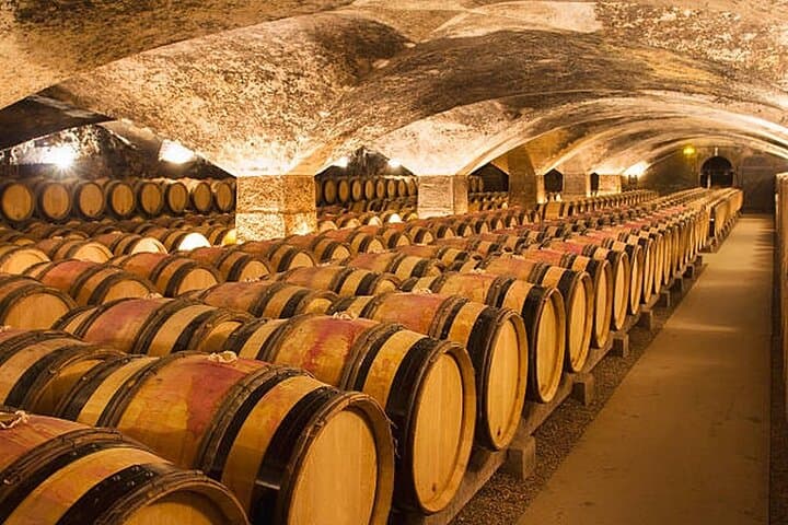 Beaune wine tour - Wine tasting included - Professional guide !