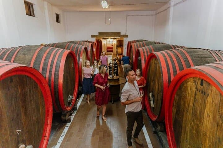 Beaune wine tour - Wine tasting included - Professional guide !