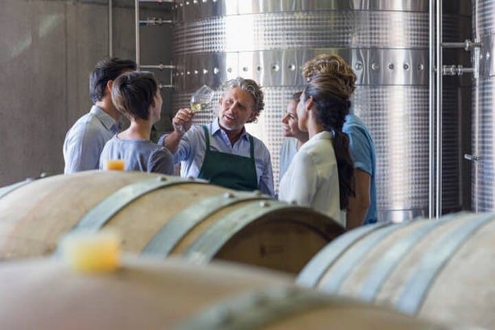 Beaune wine tour - Wine tasting included - Professional guide !