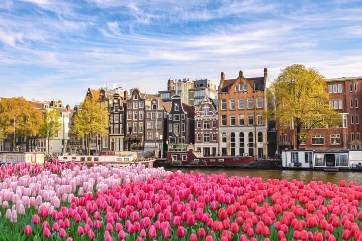 Private transfer from Paris to Amsterdam, 2h Stop in Brussels