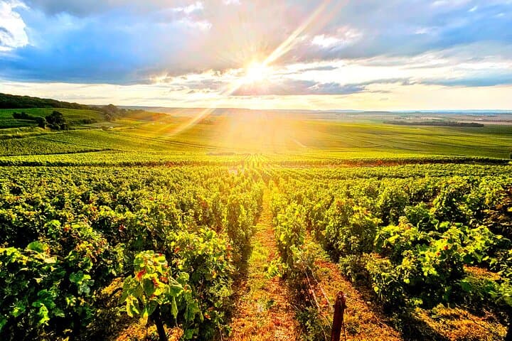 Full Day Champagne Pommery Small Group Tour