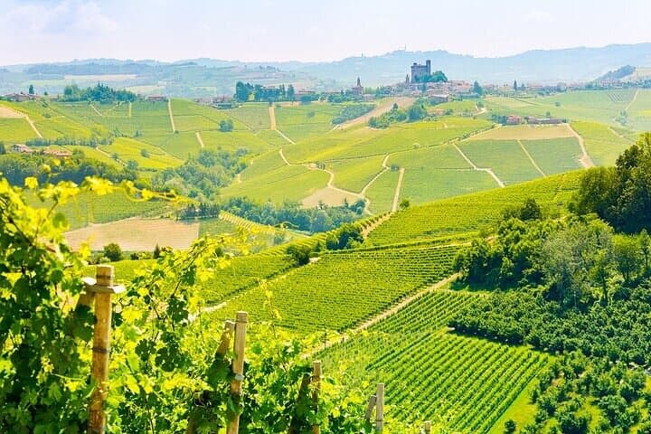 Private Round Trip Transfer from Paris to Reims by Sedan or Van