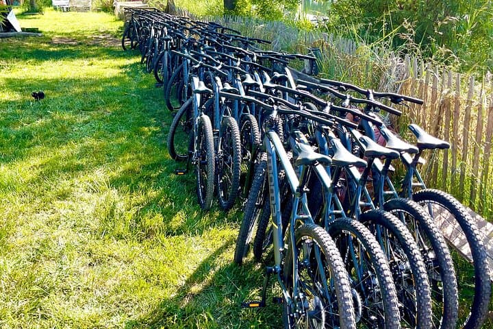 Mountain bike rental in Camargue