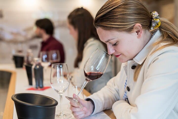Private wine tasting workshop in Bourgogne