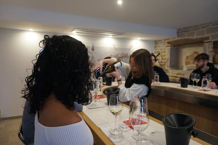 Private wine tasting workshop in Bourgogne