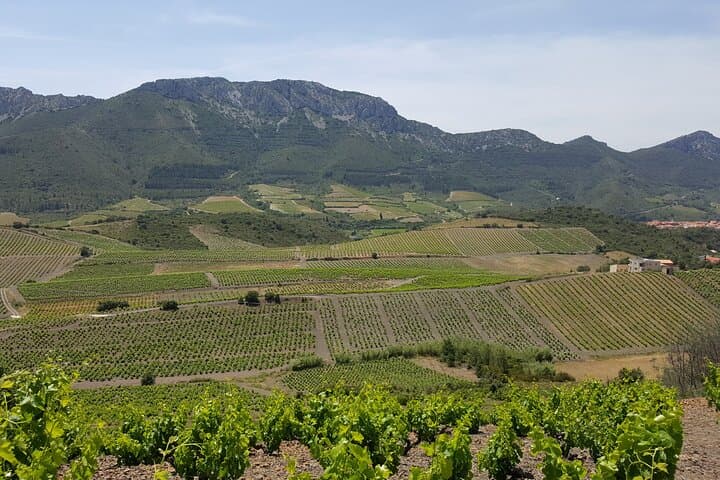 Exceptional landscapes