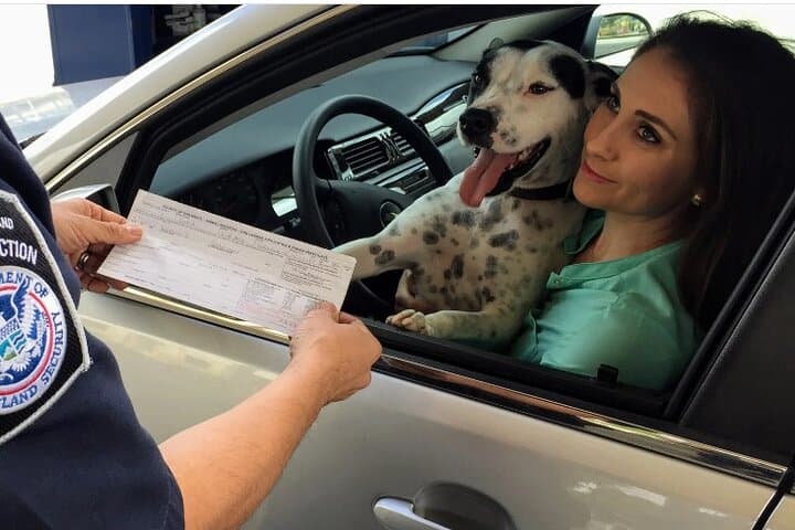 Private van transfer from Paris to London with pet