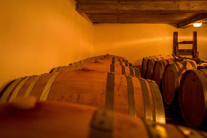 Private Half day E-Bike Tour and Lunch With A WineMaker