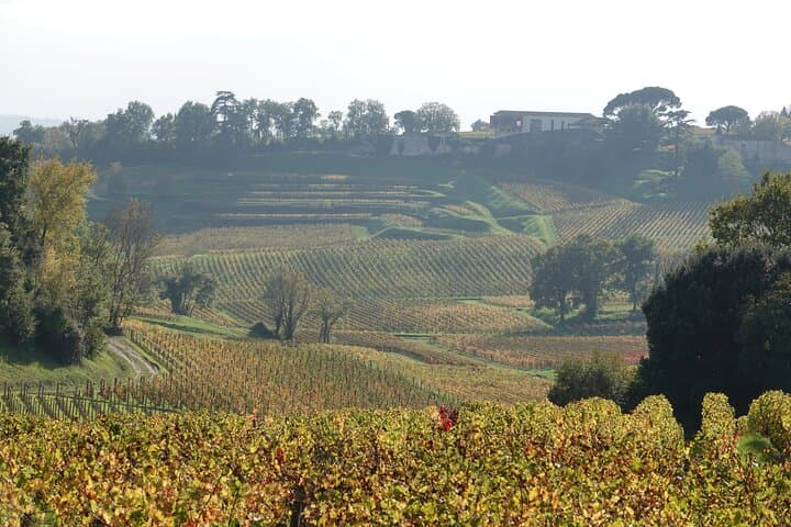 Private Half day E-Bike Tour and Lunch With A WineMaker