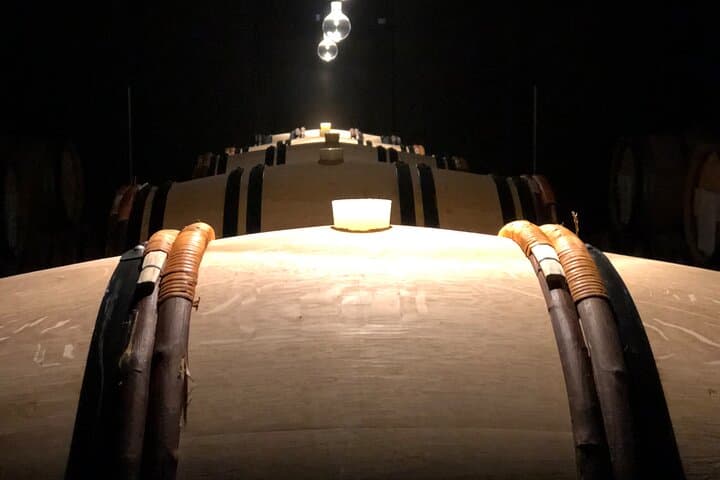 Exclusive Champagne Tour : 2 Family Houses & Restaurant included