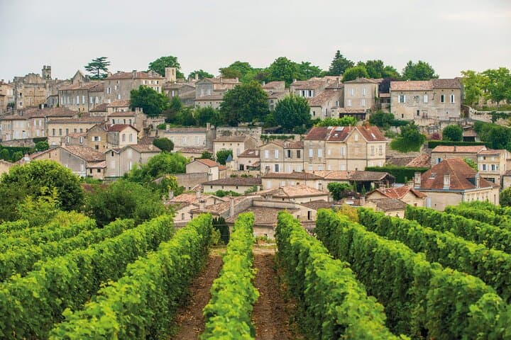 Full-day Saint-Emilion: Village, Undergrounds and Châteaux