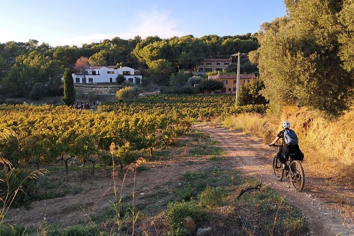 E-bike in the AOC vineyard of Cassis