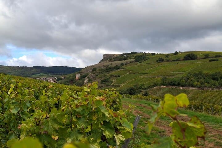South Burgundy Private Day Tour with tasting from Lyon