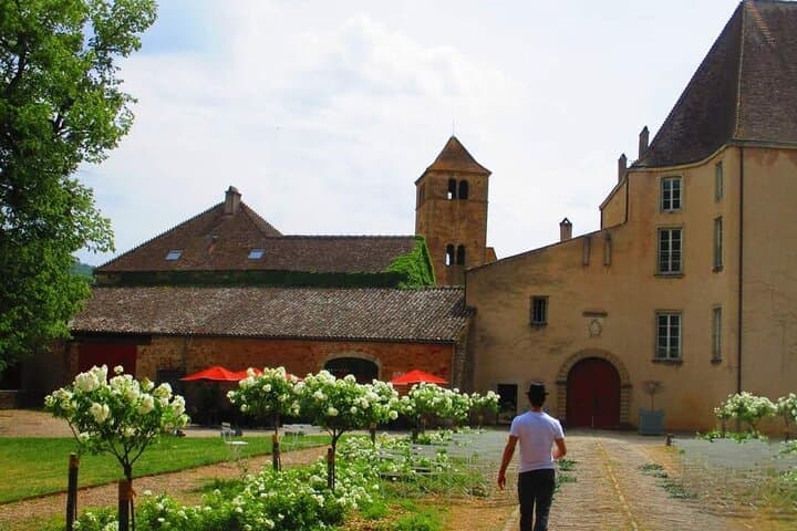 South Burgundy Private Day Tour with tasting from Lyon