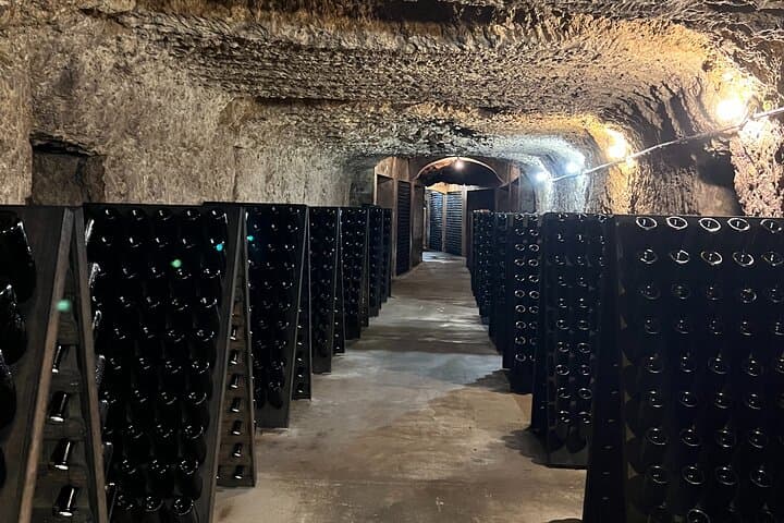 Loire Wine Day from Paris with Chambord Castle & 6 Tastings