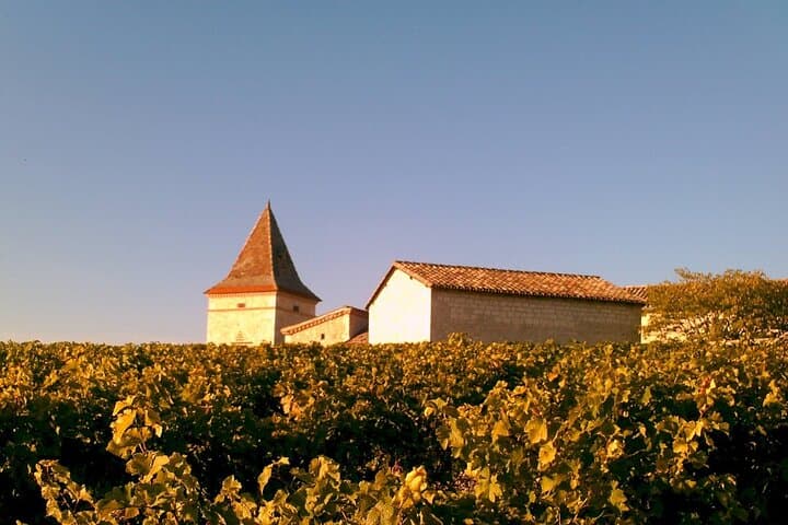 Gaillac Wine Tour Small Group Half Day Tour From Toulouse