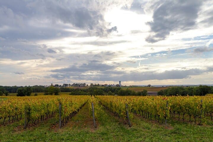 Albi, Cordes village and wine tasting Private Tour From Toulouse
