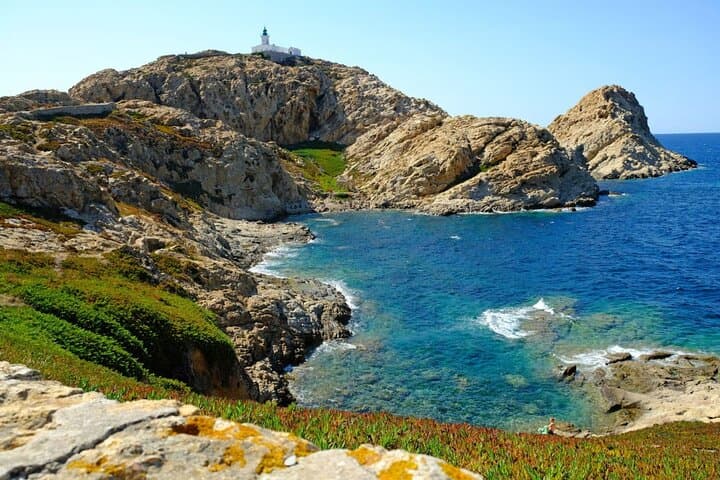 Discovery of the Ile Rousse & Wine Tasting From Calvi Cruise Port