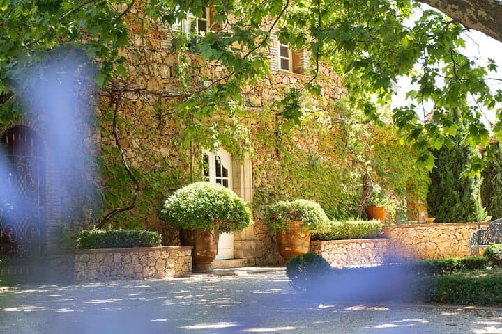 Private Wine Tour in Provence with an Expert