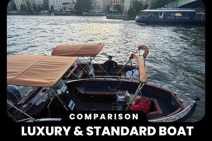 Paris Seine River Private or Shared Boat Tour