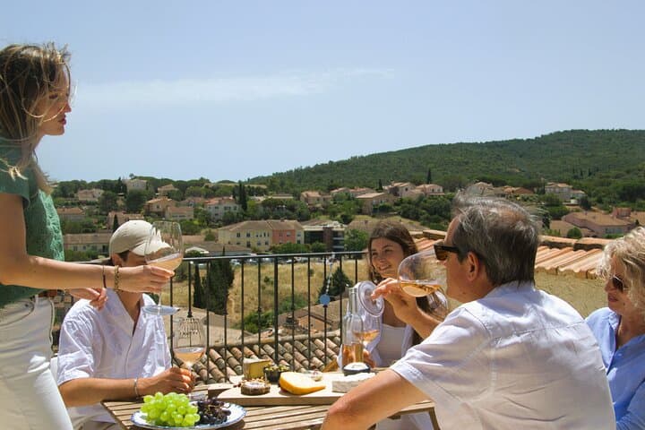 A day in the vineyards of Provence Check-out from Fréjus.