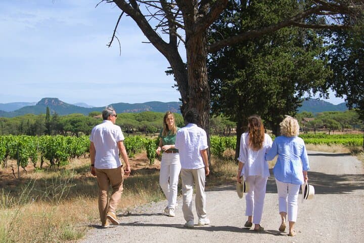 A day in the vineyards of Provence Check-out from Fréjus.