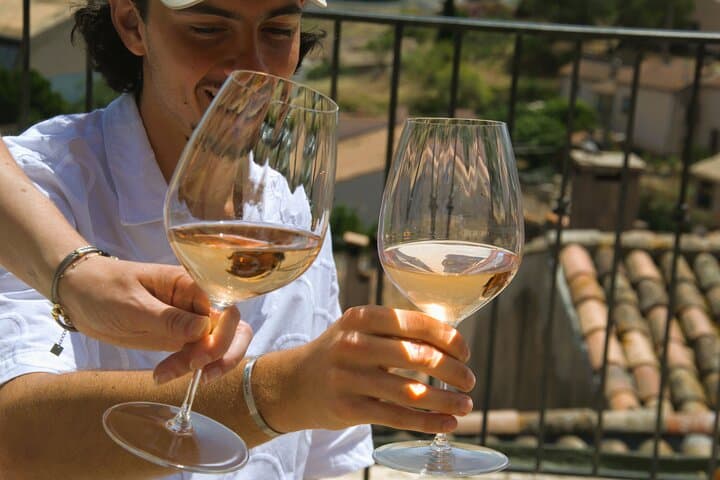 A day in the vineyards of Provence Check-out from Fréjus.