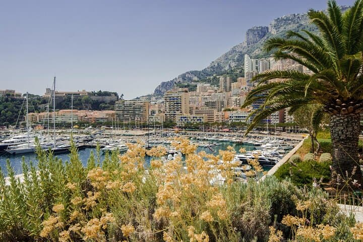 Explore Nice in 60 minutes with a Local