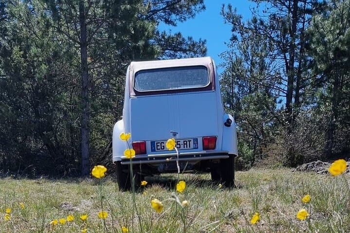 Walks Producers in Citroen 2cv