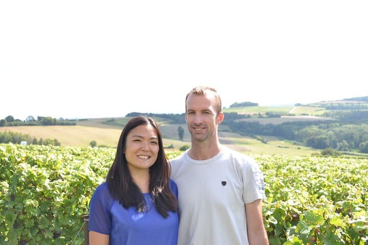 Vineyard in the Mountains of Reims in summer