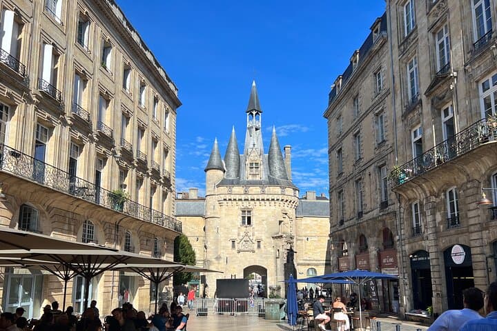 Bordeaux day trip in small group from Biarritz