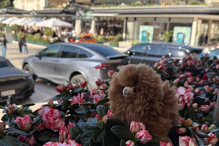 Monaco Private Full Day Guided Tour