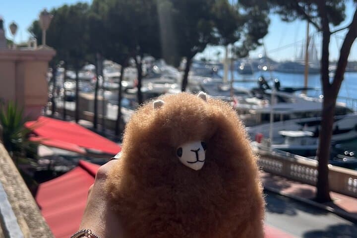 Monaco Private Full Day Guided Tour