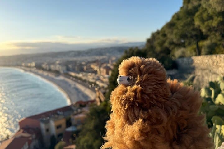 All French Riviera Private Full Day-Tour