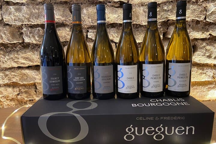 Private Wine Tasting Tour in Chablis Burgundy from Paris