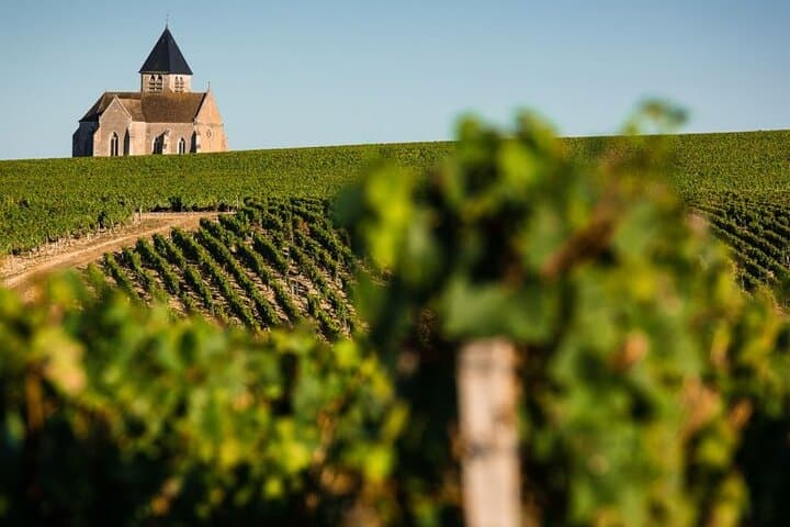 Private Wine Tasting Tour in Chablis Burgundy from Paris