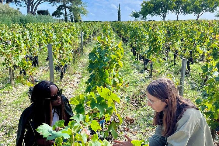 Private wine tour to Margaux and Médoc