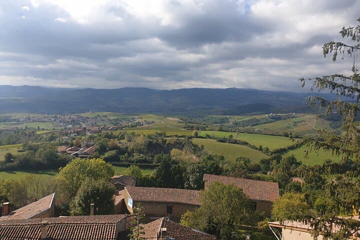 Half Day Private Beaujolais Wine Tour