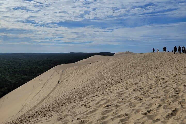 Private Tour in Dune Du Pilat and Oyster Village