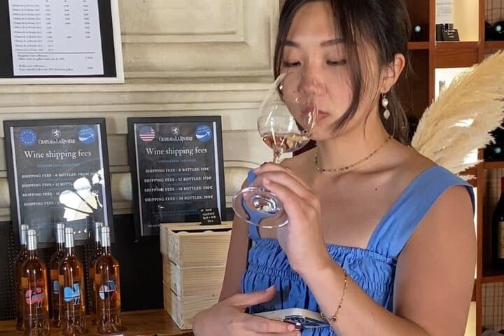 Private Wine Tour with Food Pairing Saint-Émilion