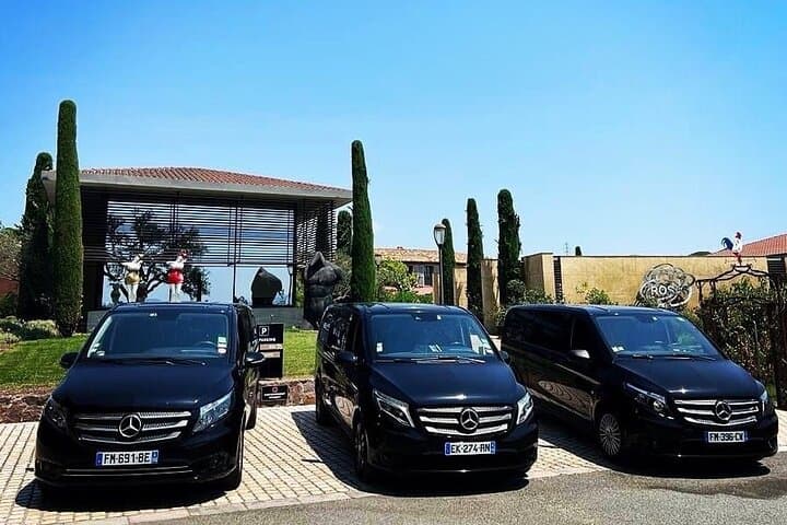 Luxury Mercedes vans 7/8 people