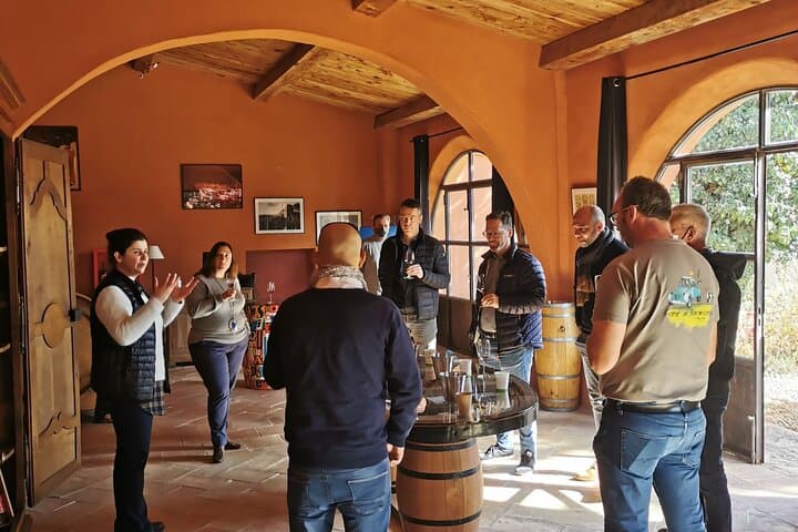 From Aix-en-Provence: Sidecar Day Tour with Wine tastings