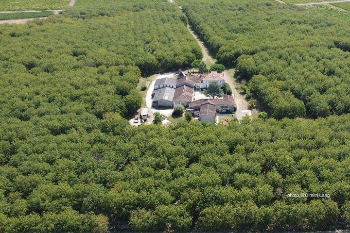 Private immersion visit to the Walnut grove with tasting