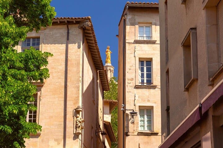 Best Intro to Avignon in 2 hours with a Local