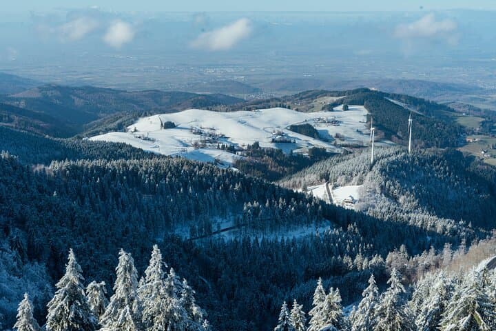 Black Forest and Baden Baden Full Day Tour