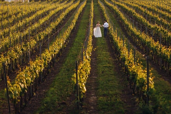 From Paris: Champagne Cellars and Vineyards Tour and Tasting