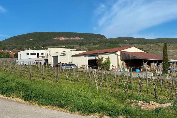 The Organic Treasures of Alsace An Invitation to Tasting