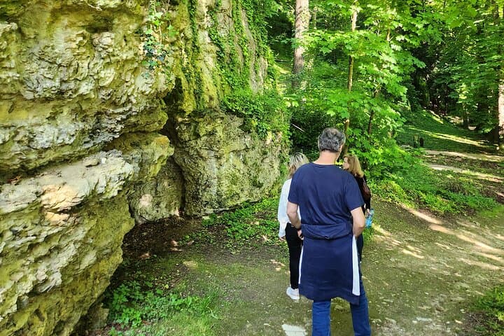 path making in the forest of the castle